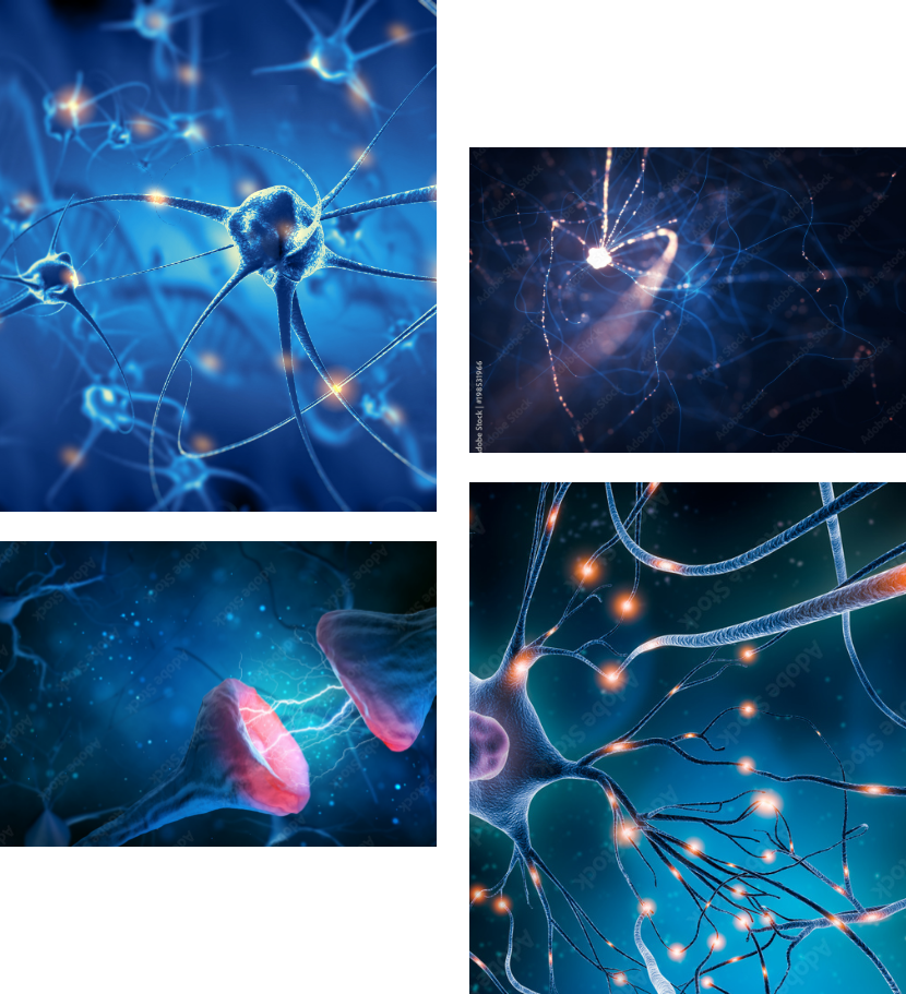 4 images of abstract brain neurons